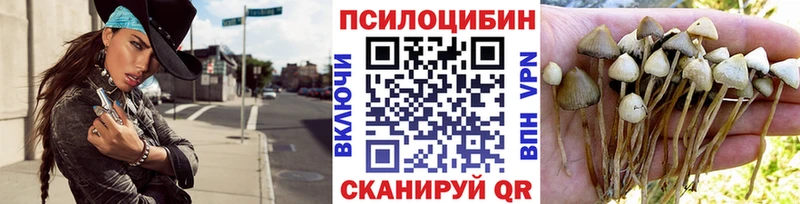 где купить наркотик  даркнет как зайти  Псилоцибиновые грибы Magic Shrooms  Владимир 